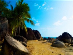 海島趣萌芽：海南雙飛4天親子游