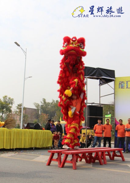 精彩的舞獅令觀眾大飽眼福 精彩的舞獅令觀眾大飽眼福