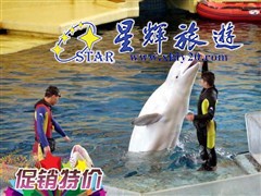 促銷特價(jià)